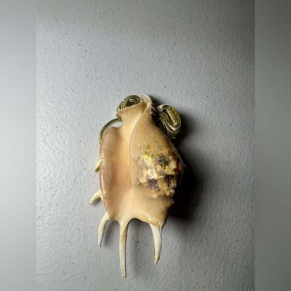 Whelk Shell Christmas Hanging Figurine Ornament Glitter Tan Bow - Picture 6 of 6